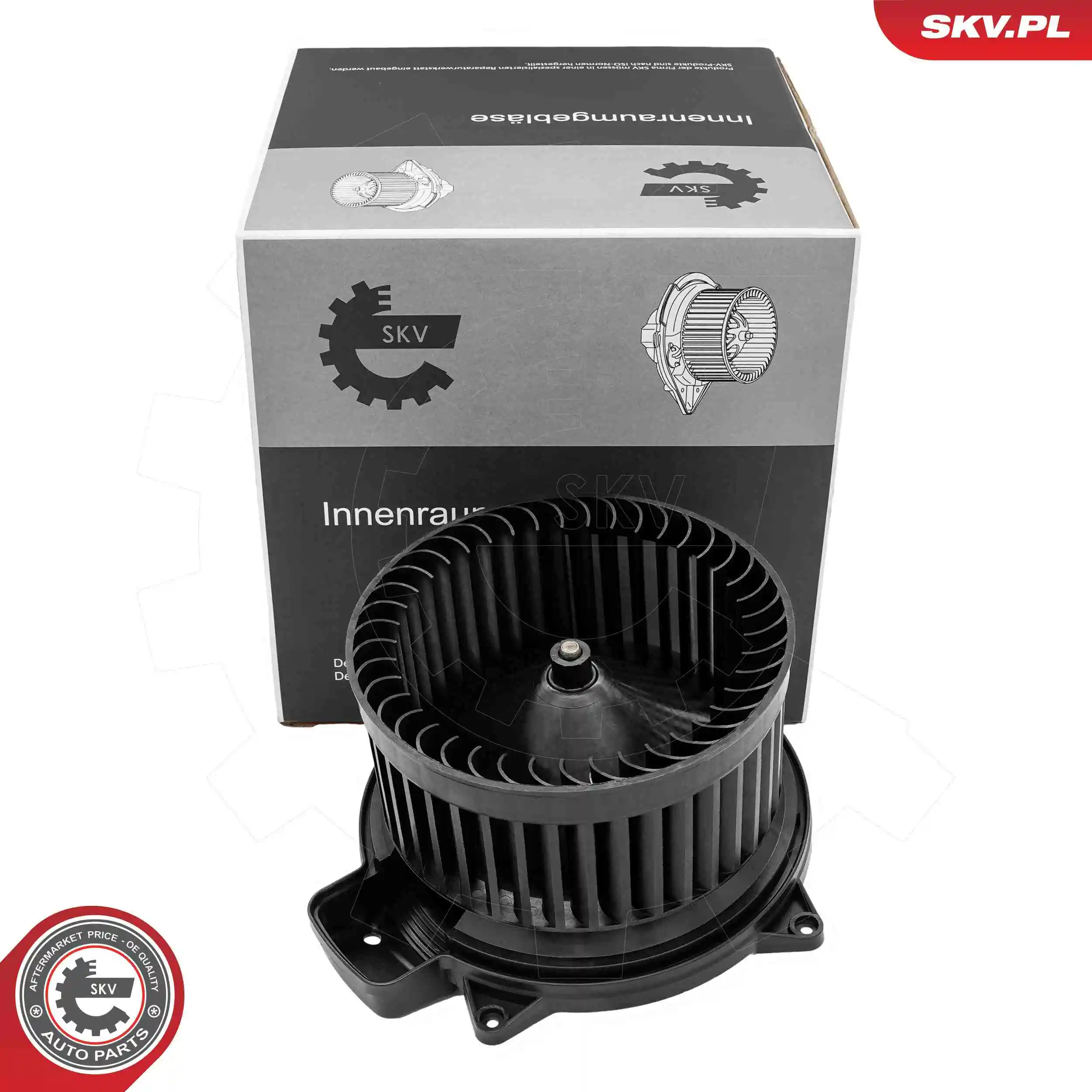Interior Blower
